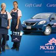 Molly Maid Gift Card – Email Delivery